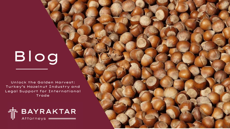 Unlock the Golden Harvest: Turkey’s Hazelnut Industry and Legal Support for International Trade