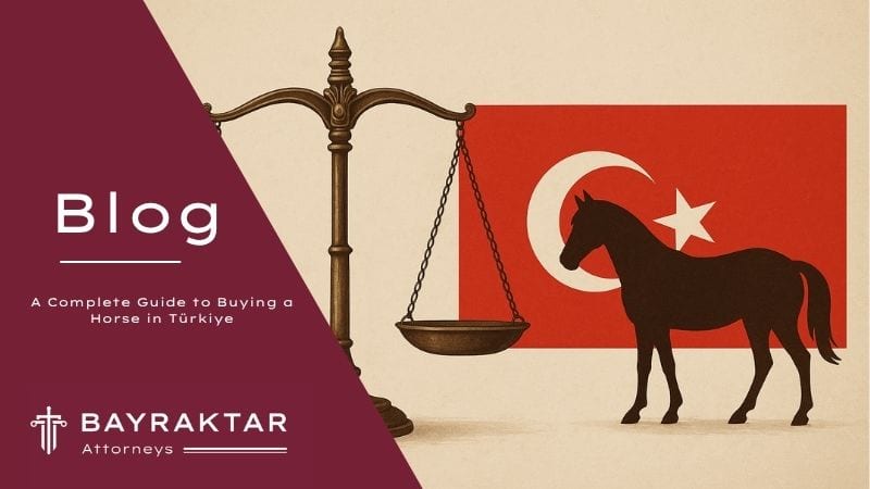 A Complete Guide to Buying a Horse in Türkiye 2026