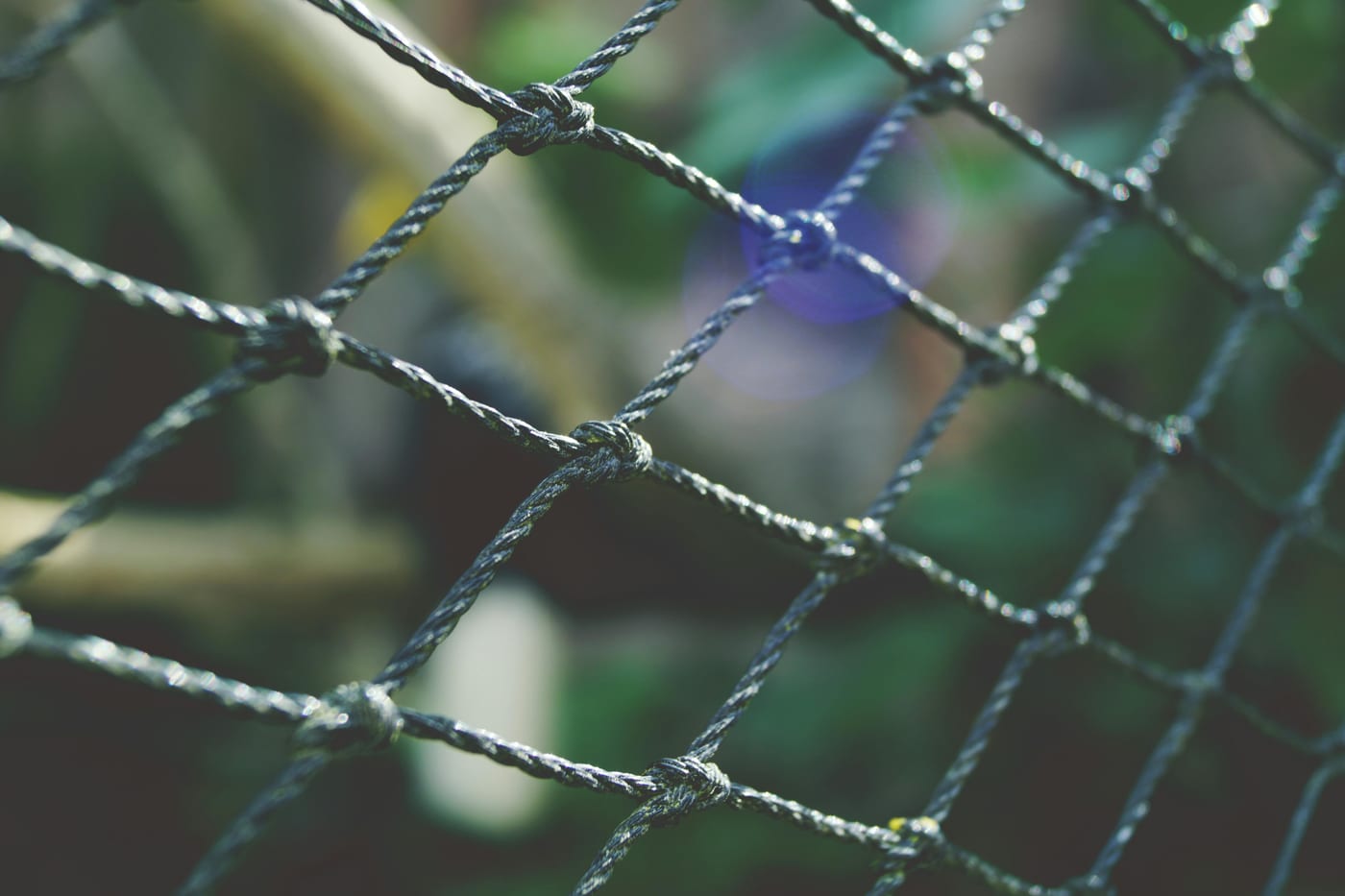 borders