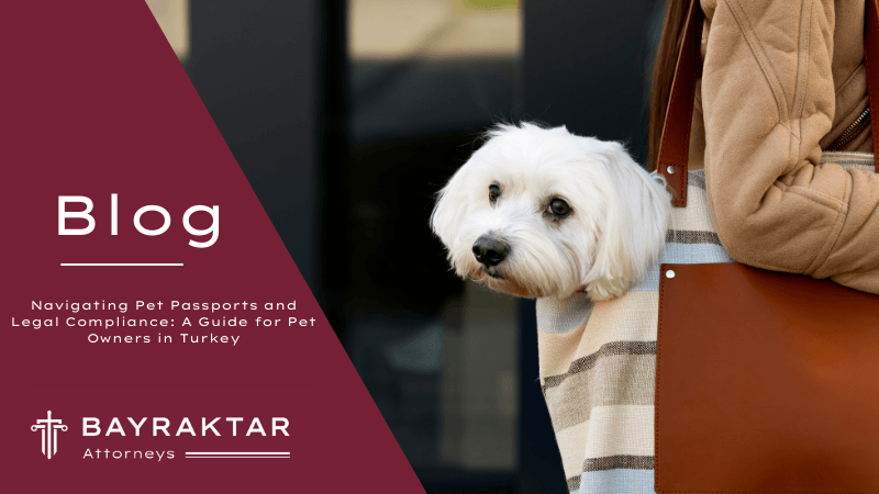 Pet Passports Turkey: Legal Guide for Pet Owners 2026