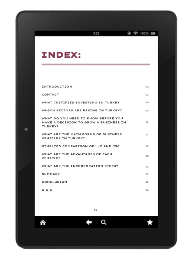 Ebook iPad